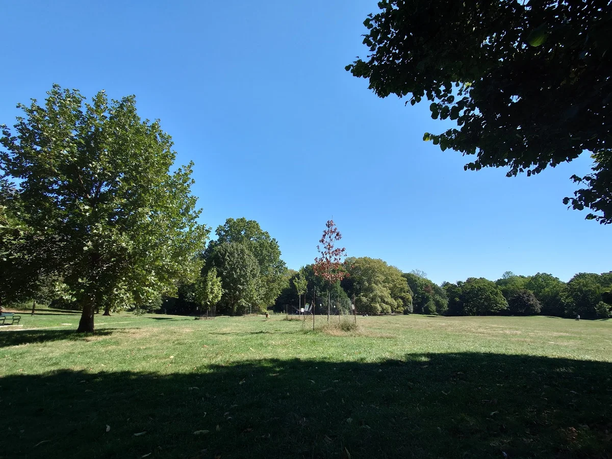 Drummer's Grove in New York City - Ask AI | mindtrip