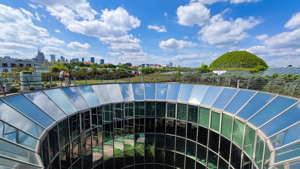 Rooftop lookout platform | What to Know Before You Go