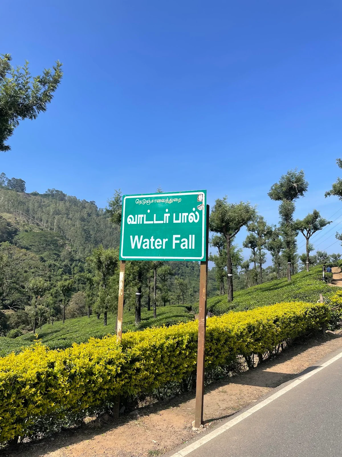 Waterfall tea estate view point | What to Know Before You Go