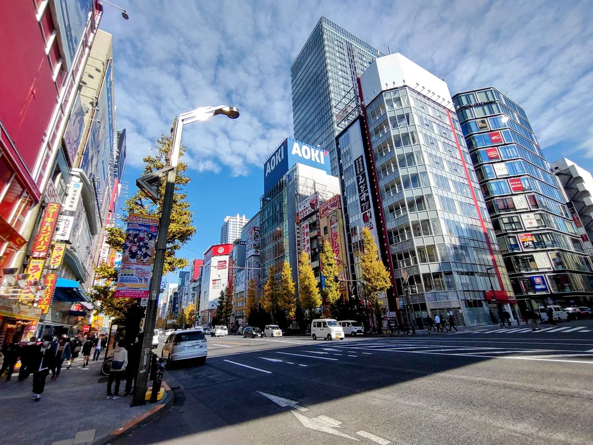 Akihabara Electric Town | What to Know Before You Go