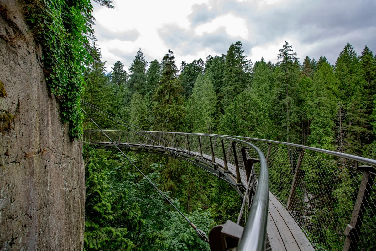 Capilano Suspension Bridge Park | What to Know Before You Go