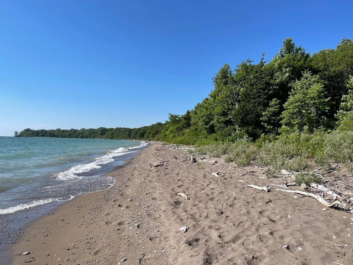 Fish Point Provincial Nature Reserve