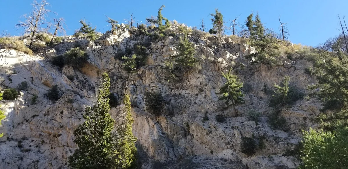 Hidden Springs Picnic Site | What to Know Before You Go