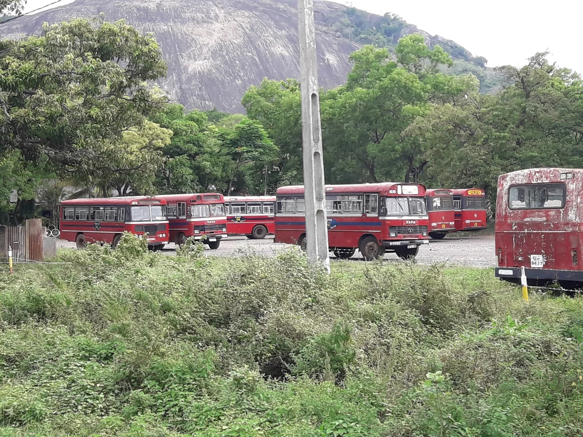 SLTB Depot in Dambulla, Central Province | Ask Anything