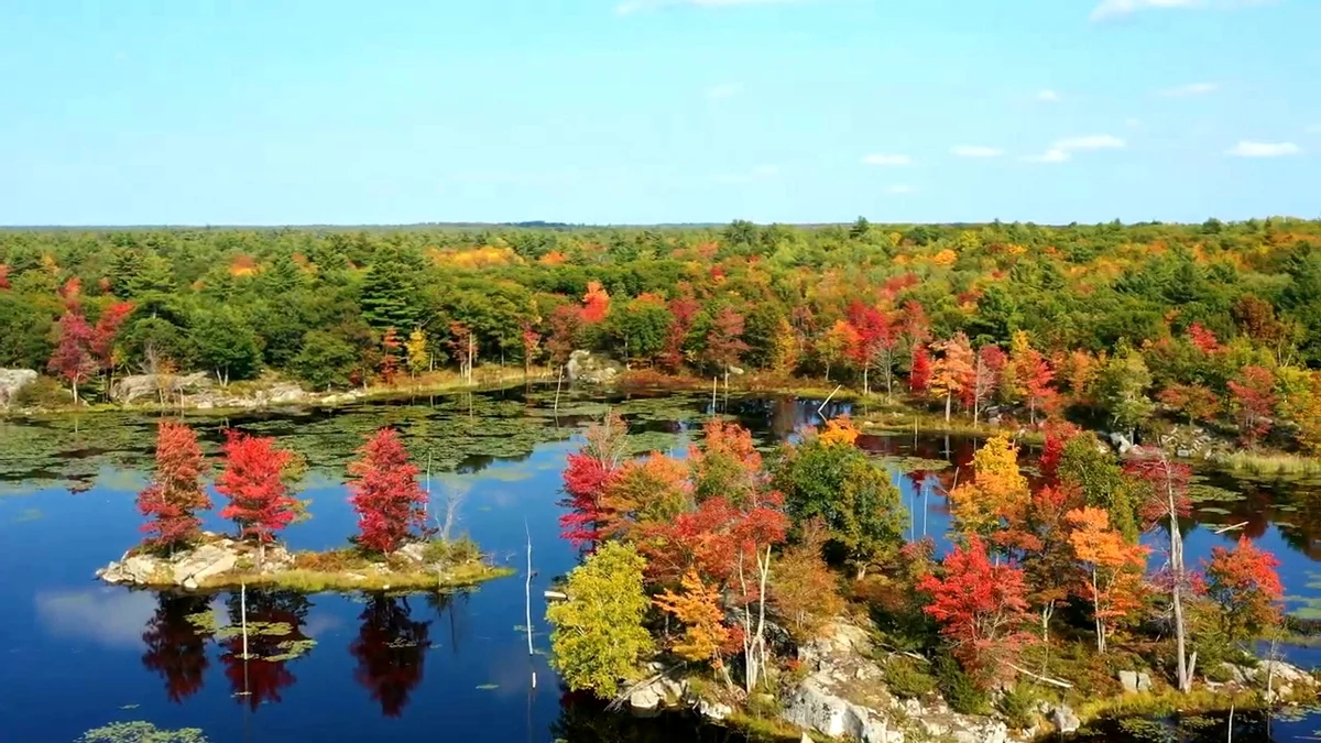 Canadian Shield in Ontario | Ask Anything