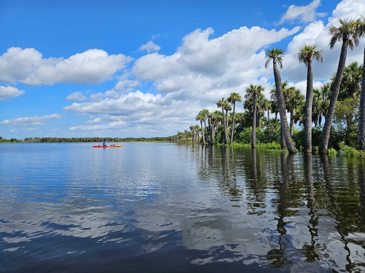 Blue Cypress Conservation Area - Ask AI | mindtrip