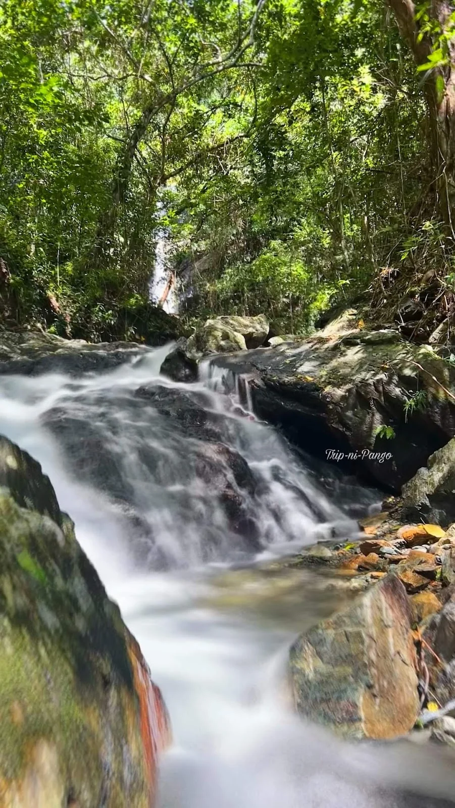 Saltahan Falls 4 in Rapu-Rapu, Bicol - Ask AI | mindtrip