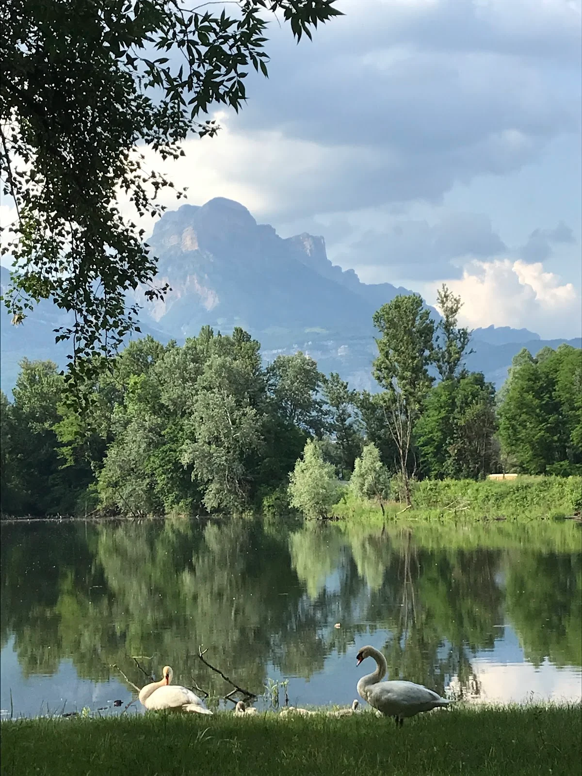 Lac Taillefer in Saint-Ismier - Ask AI | mindtrip