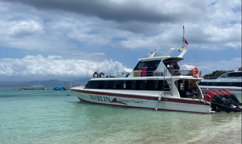 MARLIN FAST BOAT in Jungutbatu, Bali | Ask Anything