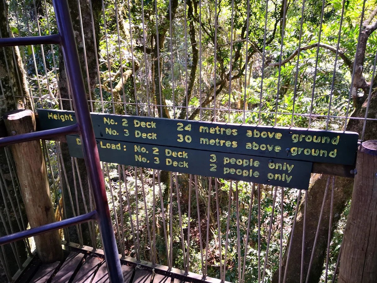 Tree Top Walkway - Ask AI | mindtrip