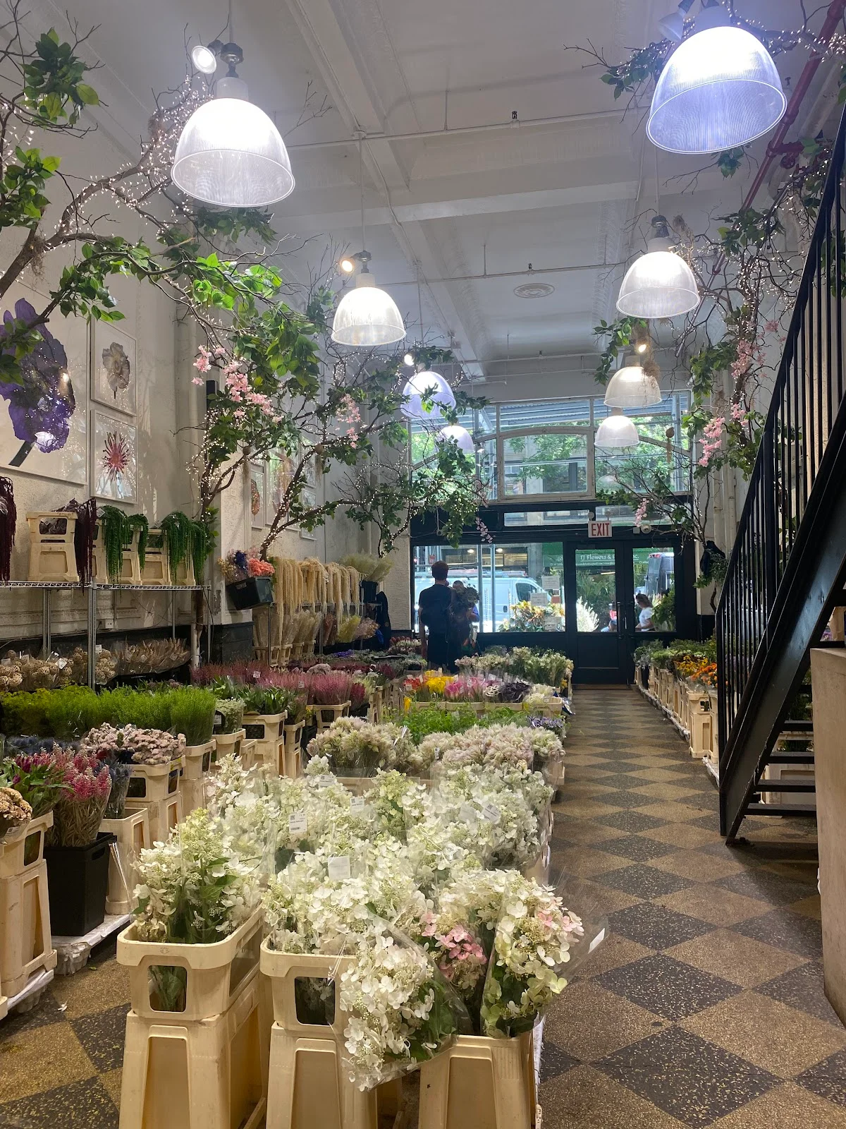 Dutch Flower Line, Inc. | What to Know Before You Go