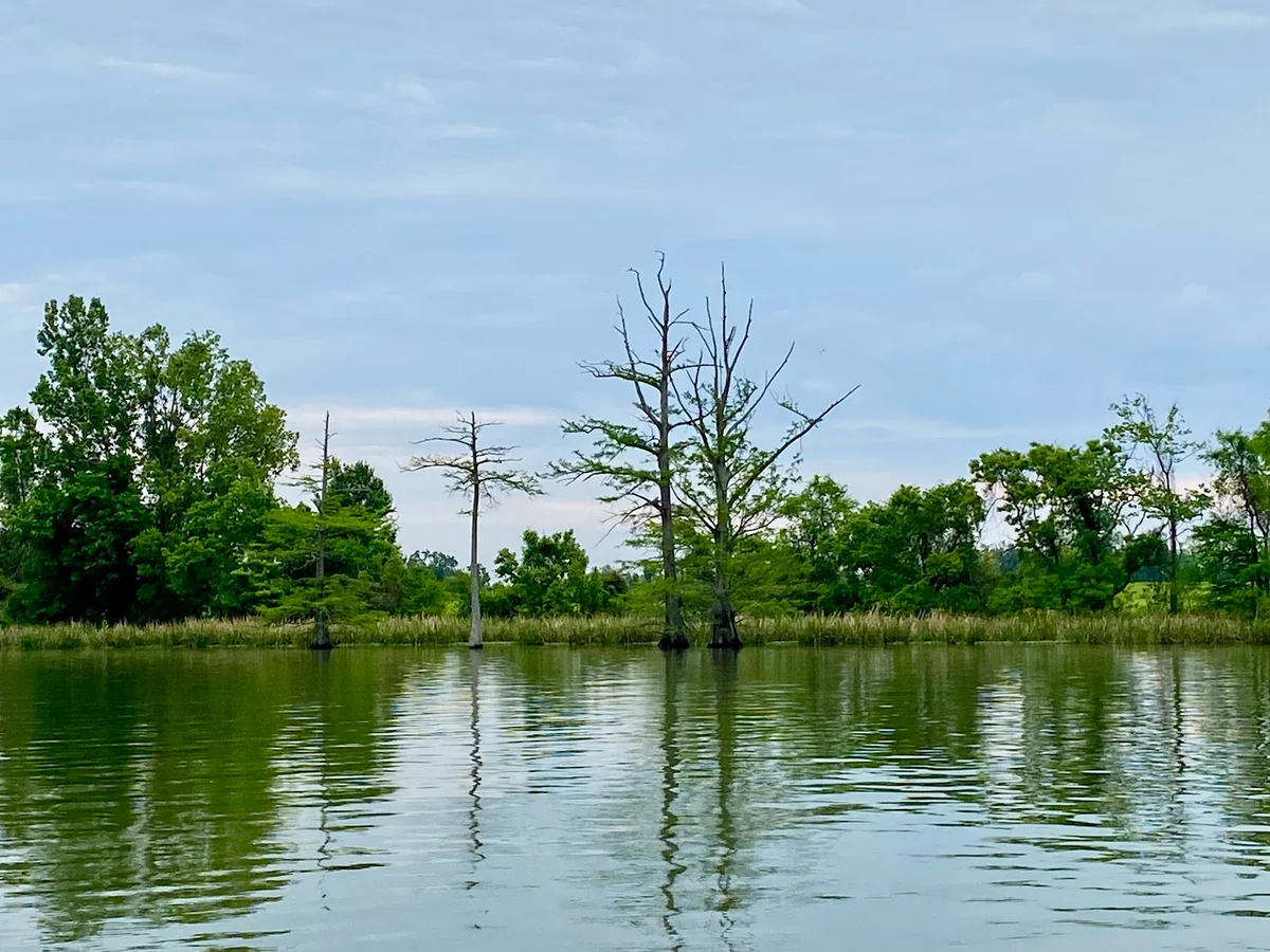 Lake Concordia in Ferriday, Louisiana - Ask AI | mindtrip