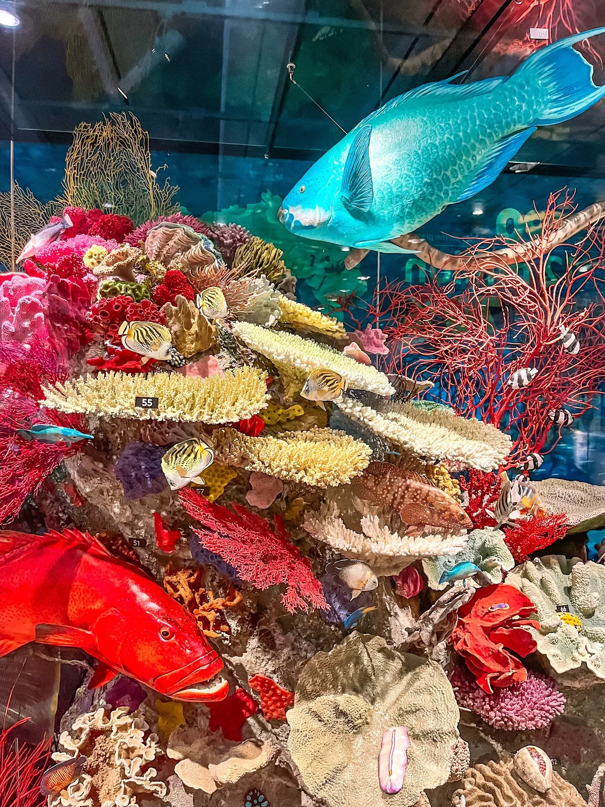 Queensland Museum in Brisbane - Ask AI | mindtrip