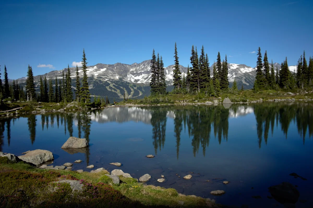 Whistler Mountain in Whistler | What to Know Before You Go