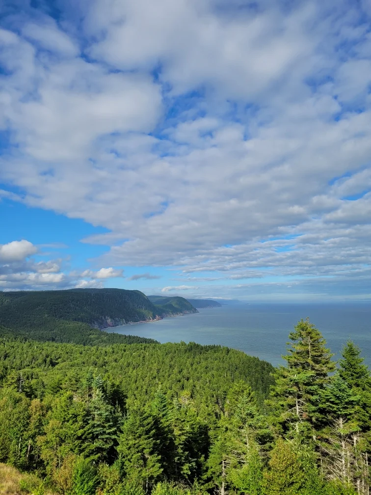 Martin Head Lookout | What to Know Before You Go