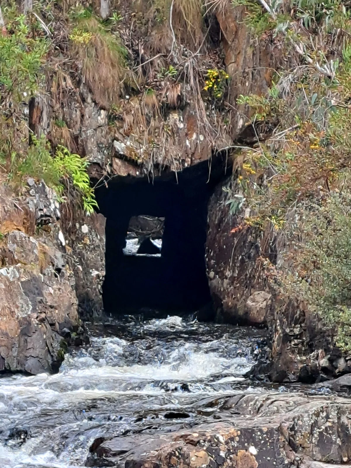Delegate River Tunnel in Bendoc - Ask AI | mindtrip