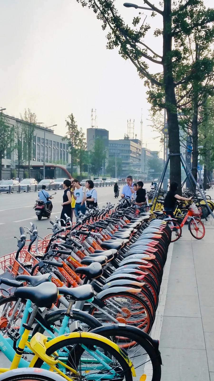 Qingyang District in Chengdu | What to Know Before You Go