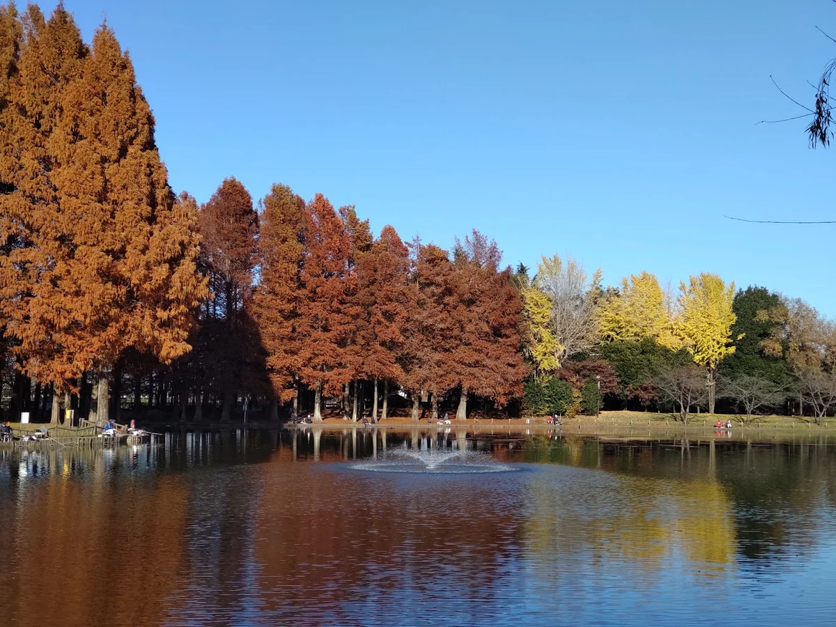 Kitamoto General Park | What to Know Before You Go