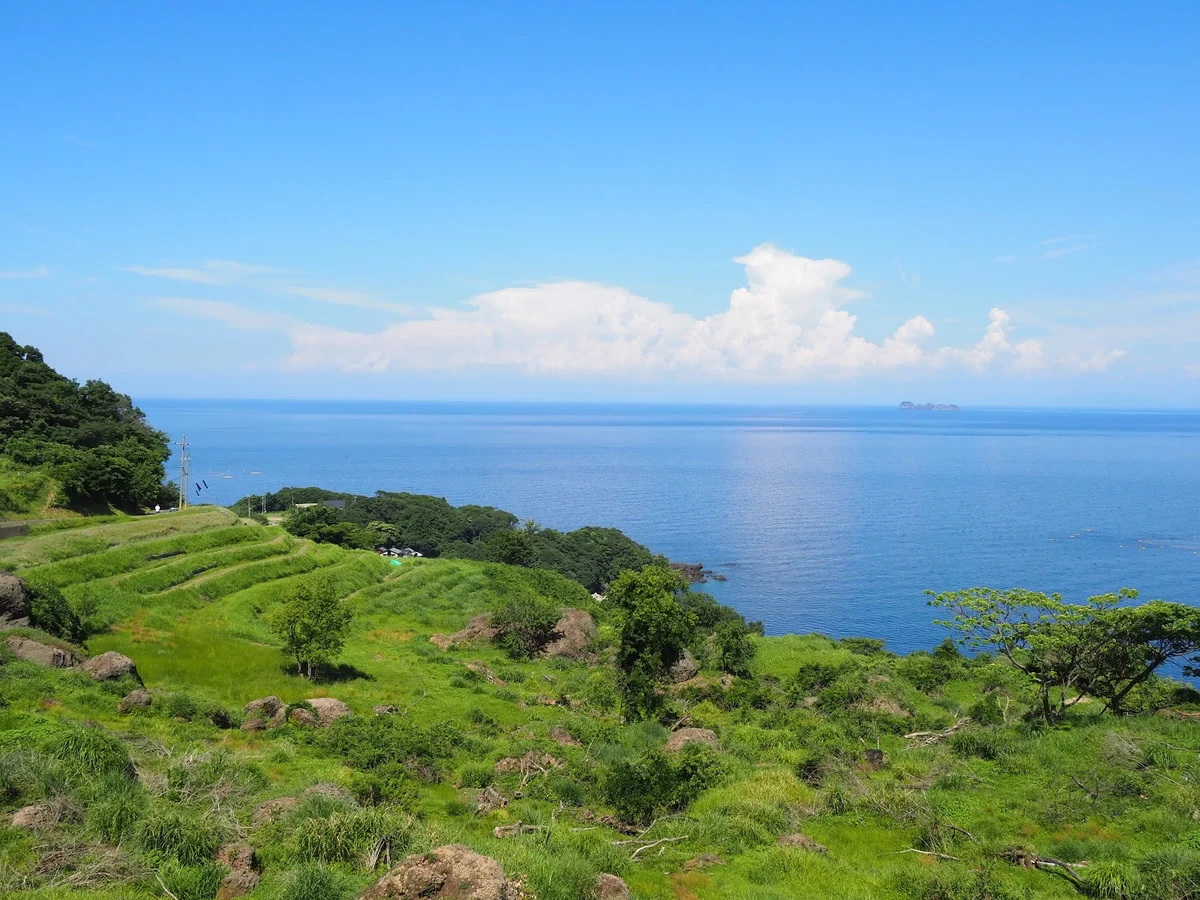 Nii Rice Terraces in Ine-cho - Ask AI | mindtrip