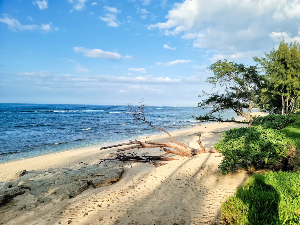 Waialee Beach in Pupukea | What to Know Before You Go