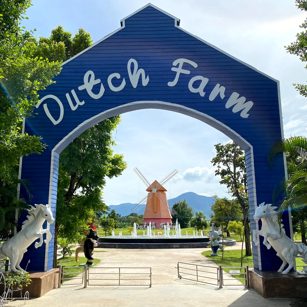 Dutch Farm in Mae On | What to Know Before You Go