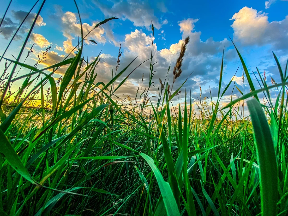 Gillies Lake in Timmins, Ontario - Ask AI | mindtrip