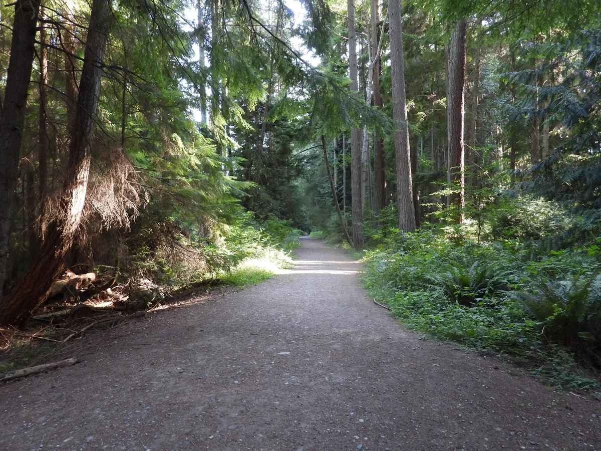 Pine Ridge Park in Edmonds, Washington | Ask Anything
