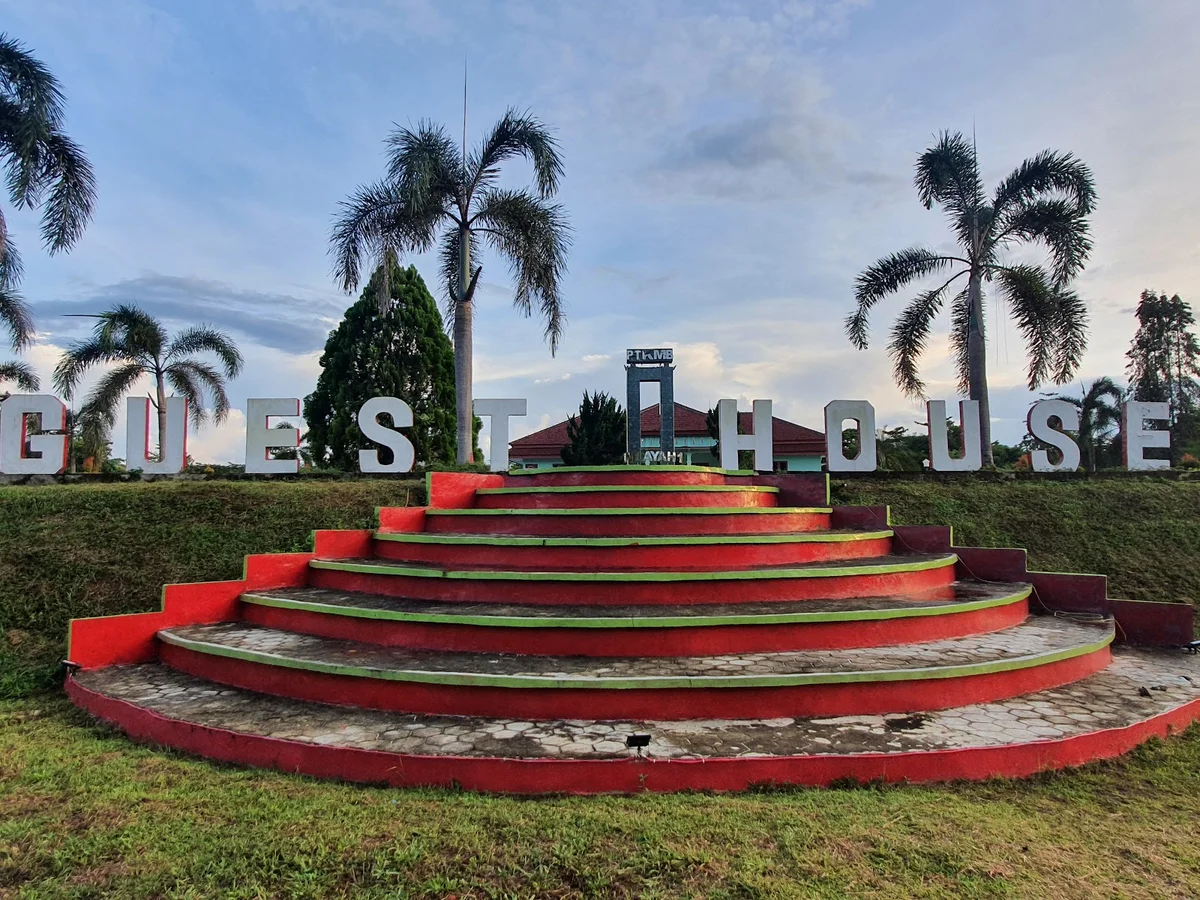 Pt. KMB in Kalimantan Tengah | What to Know Before You Go