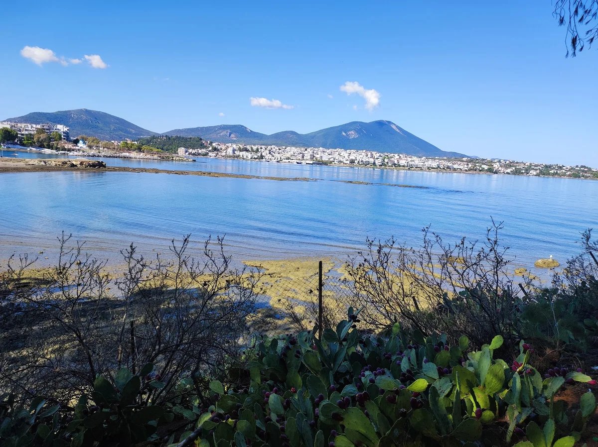 Municipal Stadium Chalkida in Khalkis - Ask AI | mindtrip