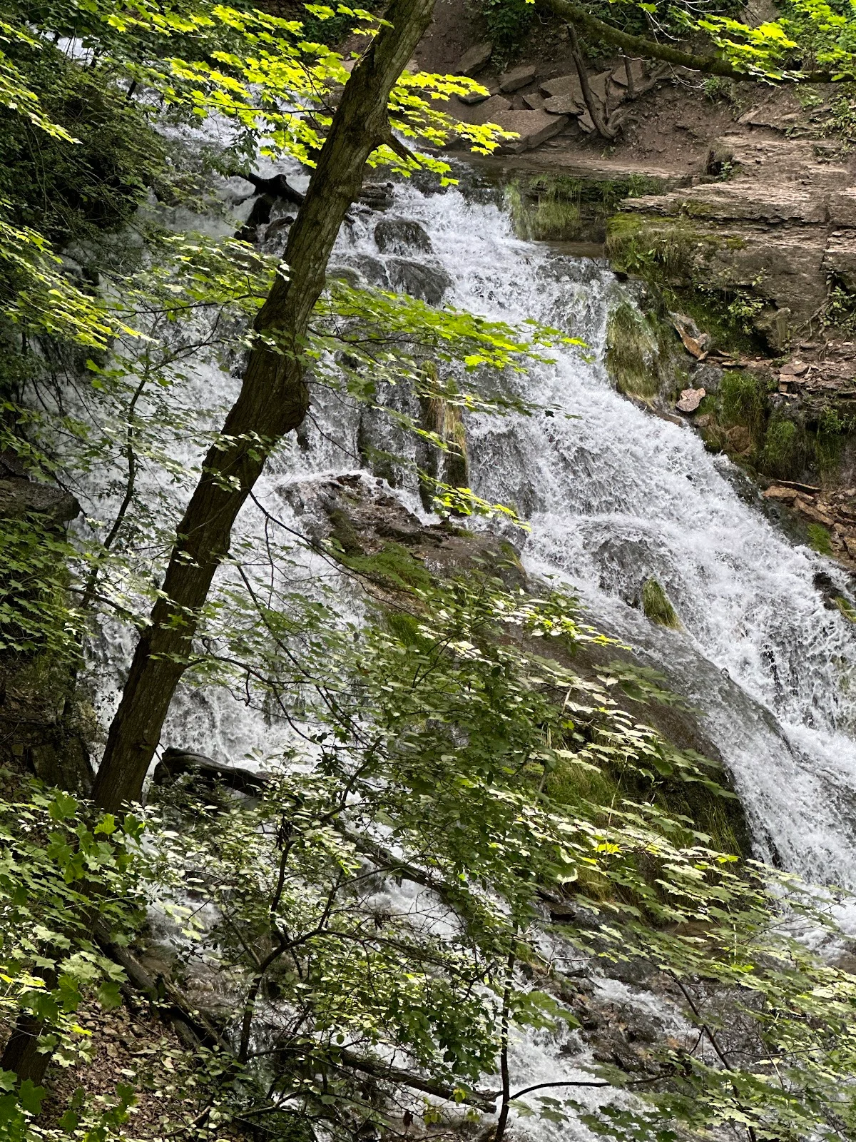 Ice Cave Hill Park in Decorah | What to Know Before You Go