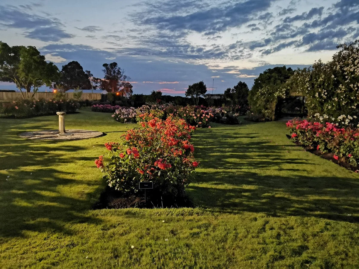 Tongariro North Domain in Taupo | What to Know Before You Go