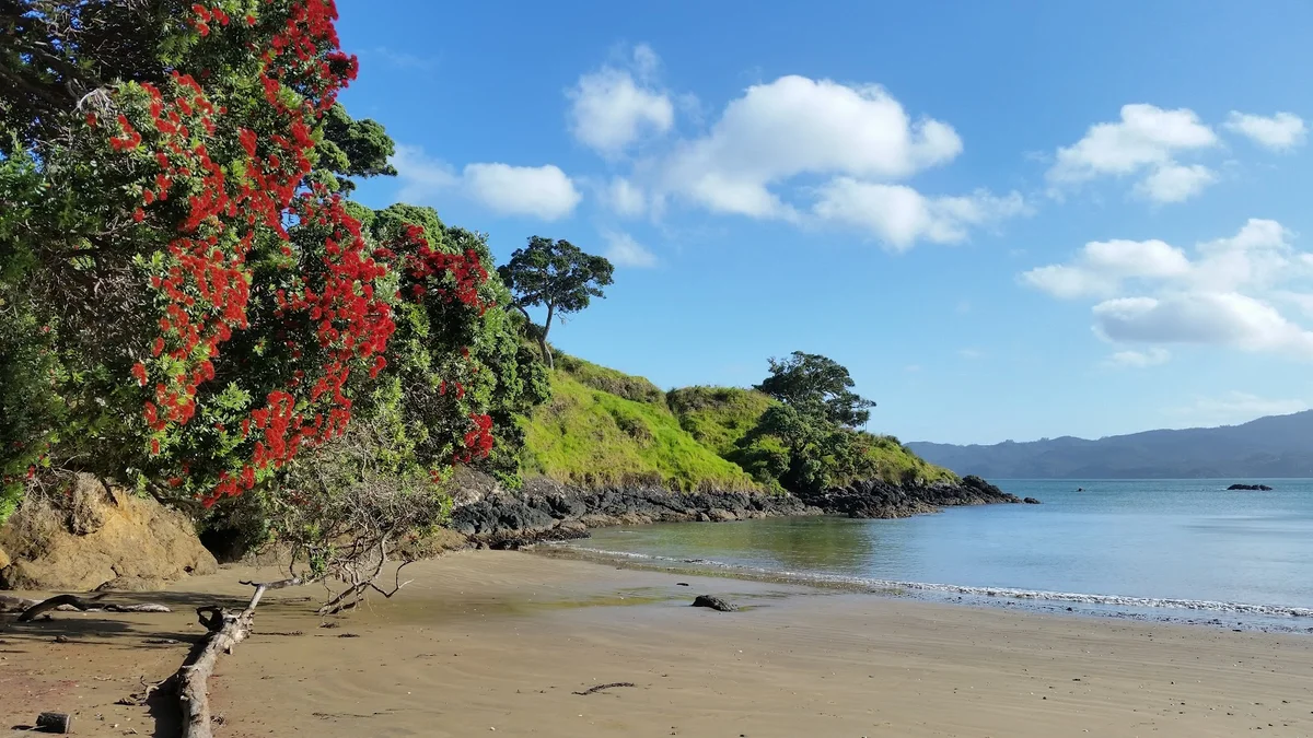 Doubtless Bay in Taipa, Northland Region - Ask AI | mindtrip