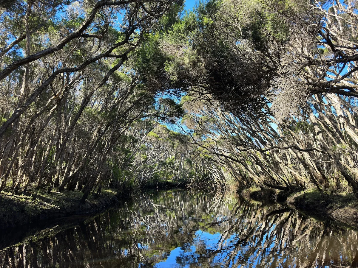 Tidal river | What to Know Before You Go