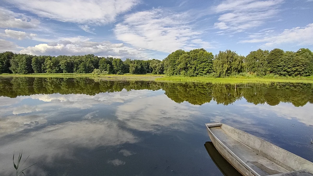 Milicz Ponds in Milicz - Ask AI | mindtrip