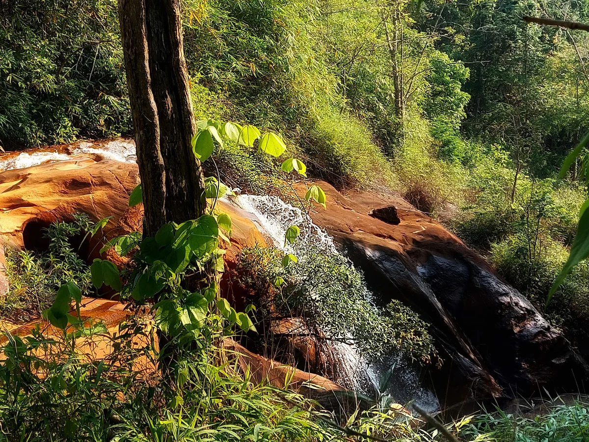 Pha Dang Water fall in Suan Phueng - Ask AI | mindtrip