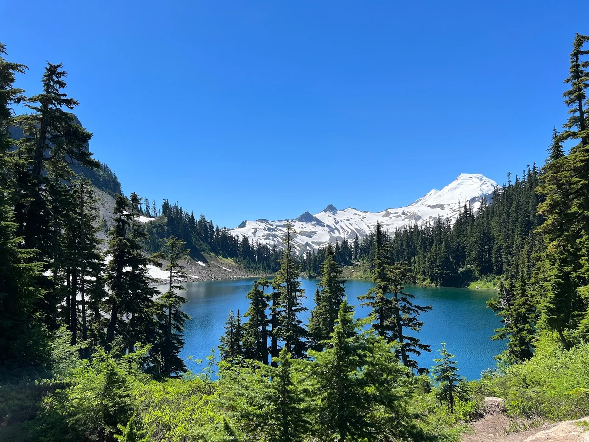 Chain Lakes Loop Trailhead in Glacier | Ask Anything