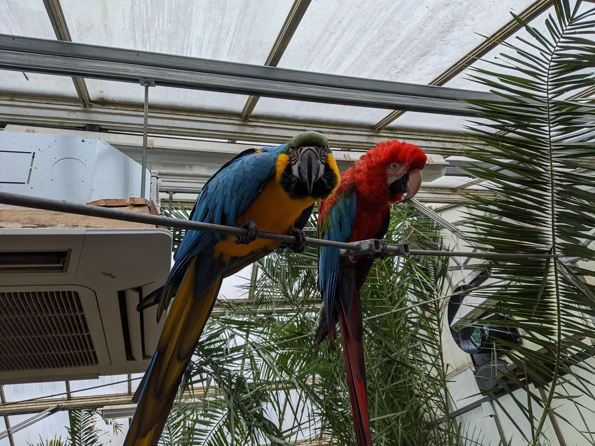 Bugtopia Hornsea Zoo in Hornsea, England - Ask AI | mindtrip