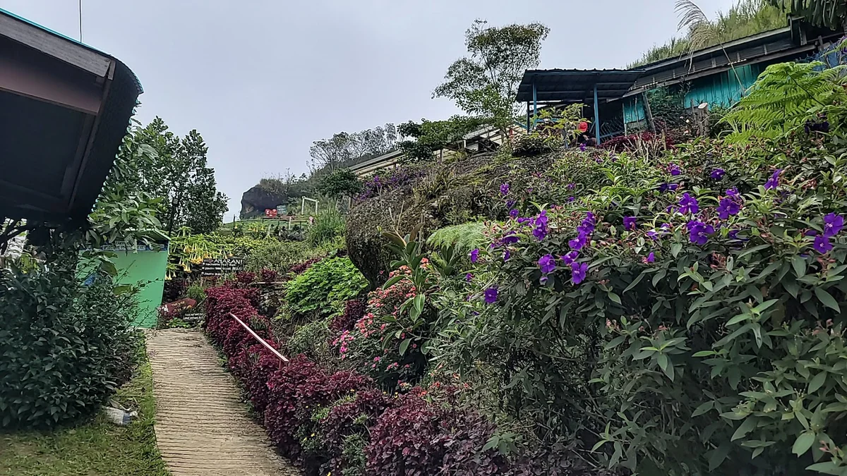 D'Mesilau Rabbit Garden | What to Know Before You Go