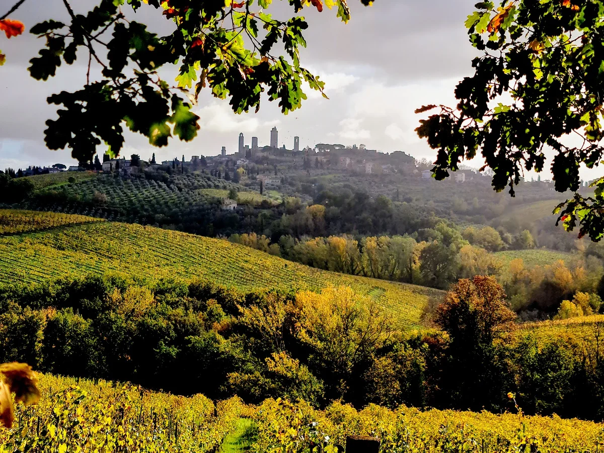 Poderi del Paradiso in San Gimignano - Ask AI | mindtrip