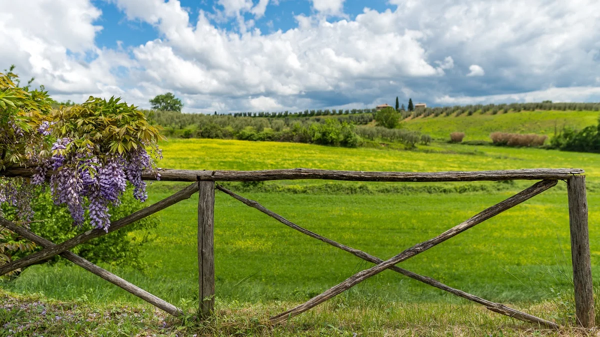 Pacina in Castelnuovo Berardenga, Toscana | Ask Anything