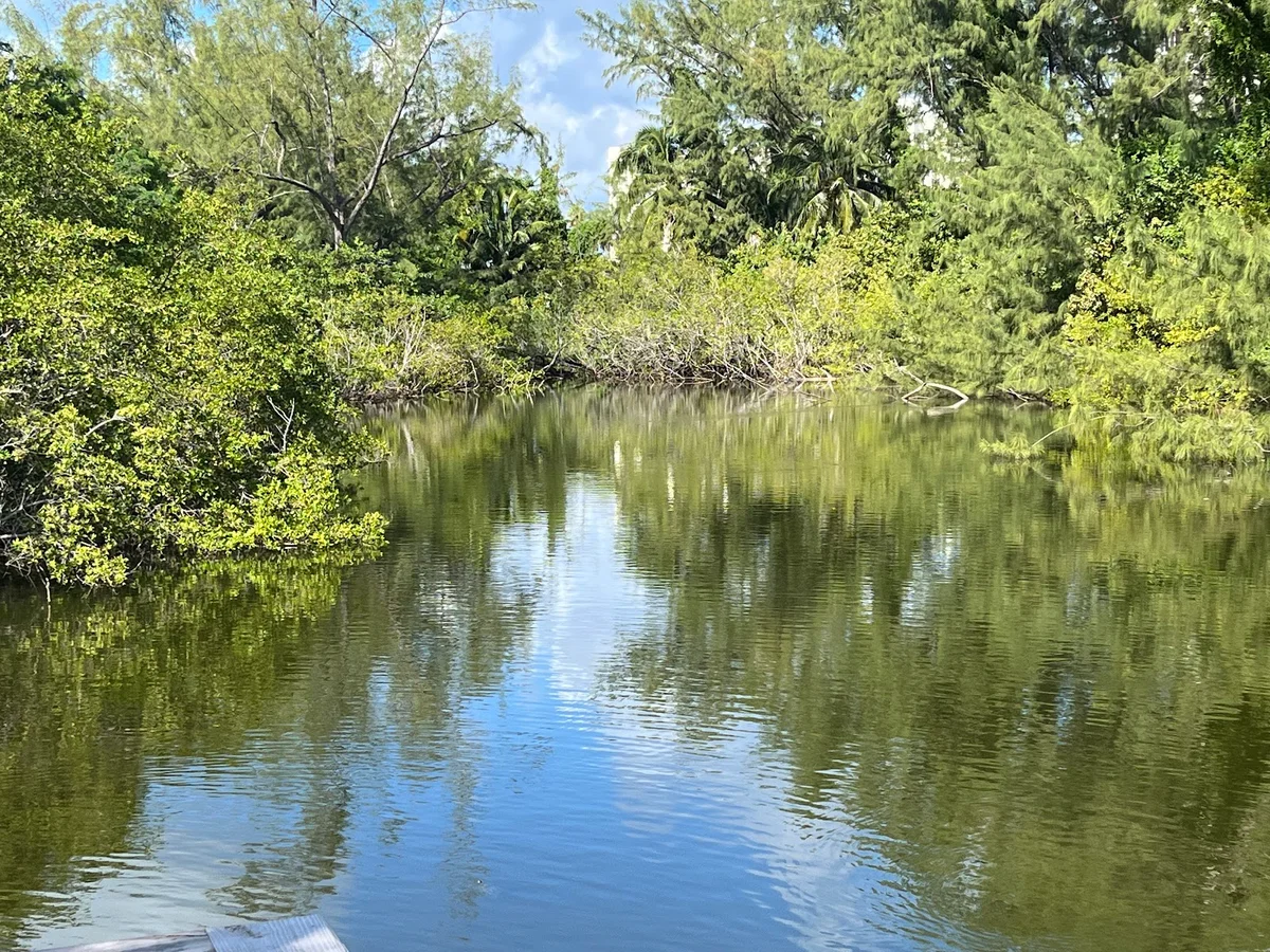 Turtle Point in Nassau & Paradise Island | Ask Anything