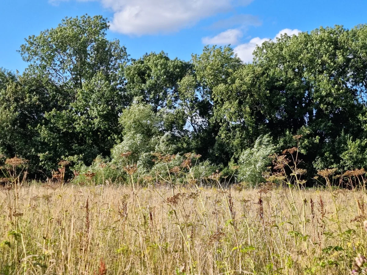 Gatley Carrs in Gatley, England - Ask AI | mindtrip