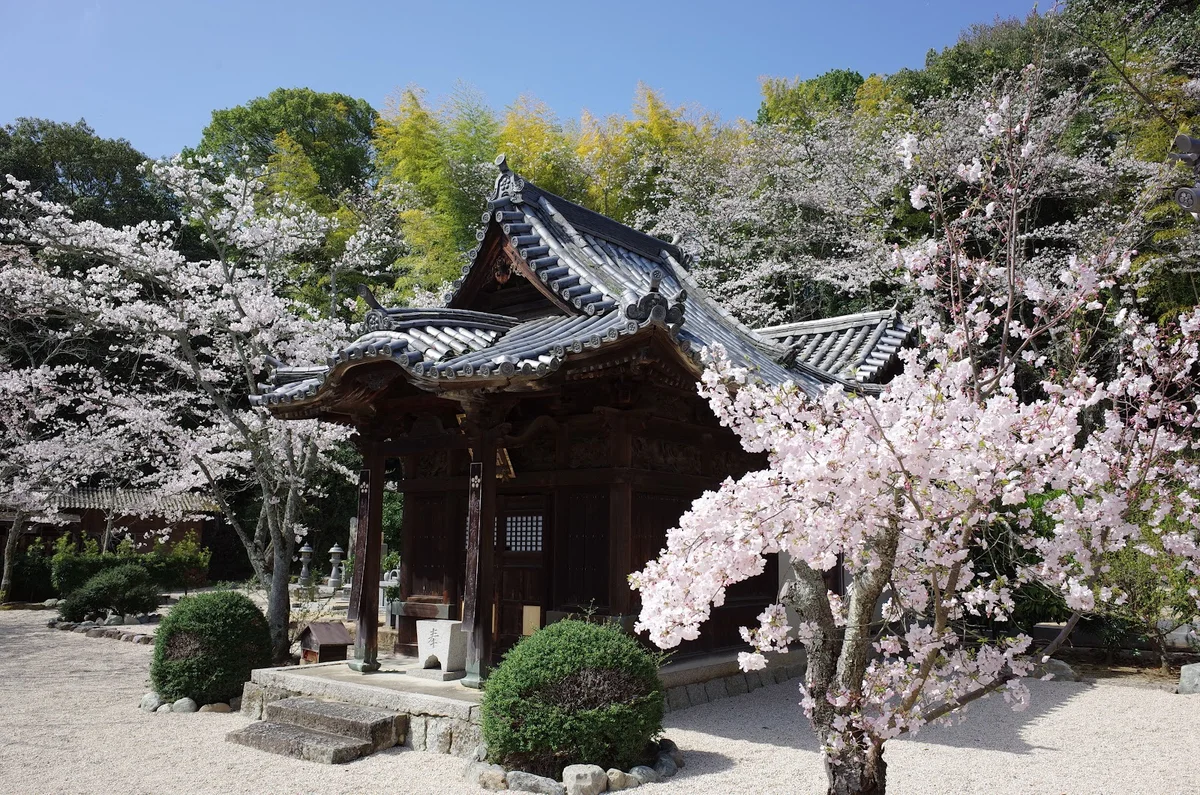 Joshin Temple in Matsuyama, Ehime Prefecture | Ask Anything