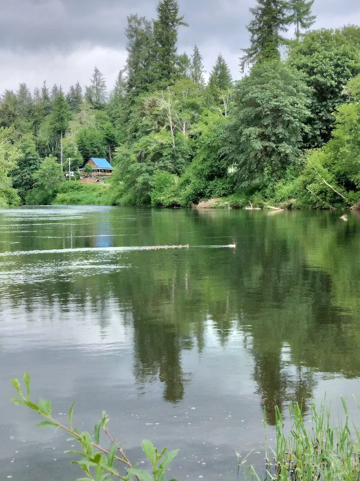 Nehalem River in Oregon - Ask AI | mindtrip
