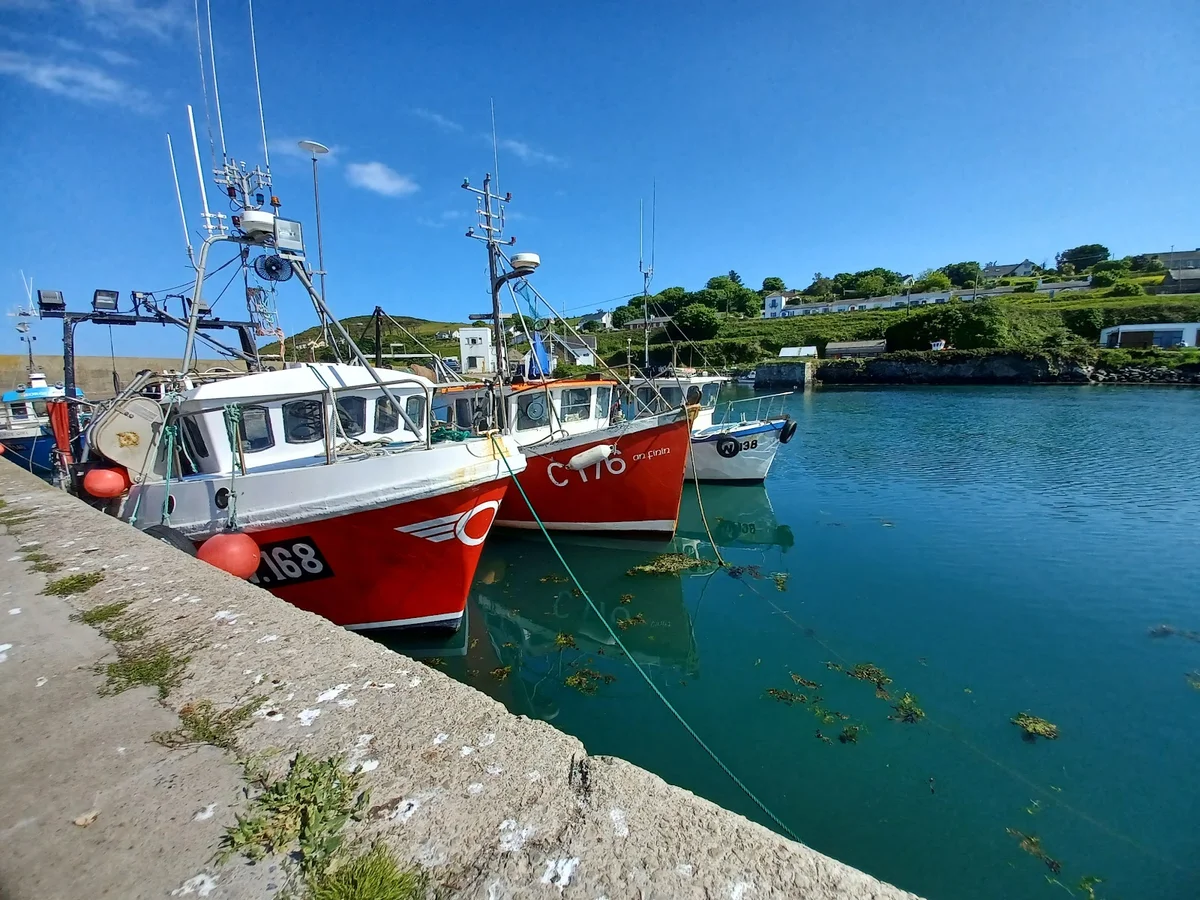 Helvick Harbour in Ring | What to Know Before You Go