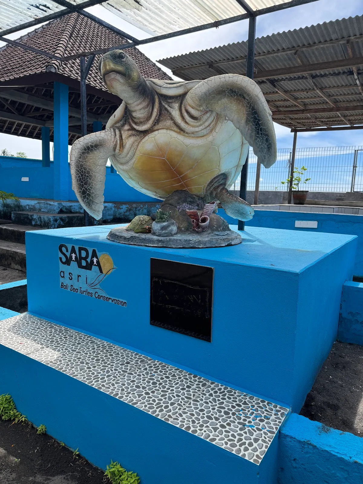 Saba Asri Sea Turtle Ecotourism in Saba - Ask AI | mindtrip