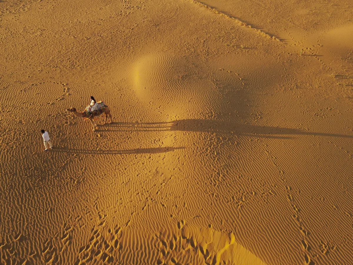 Osian Desert Park in Osian | What to Know Before You Go
