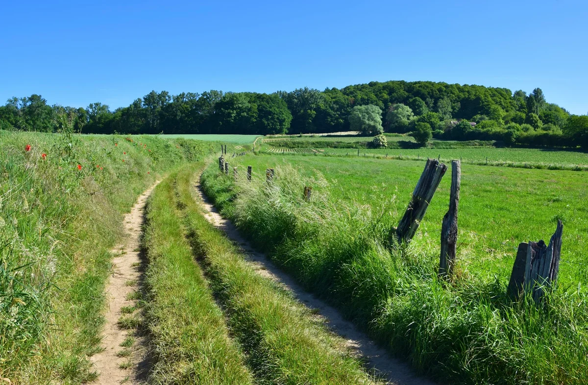 Bosberg in Geraardsbergen | What to Know Before You Go