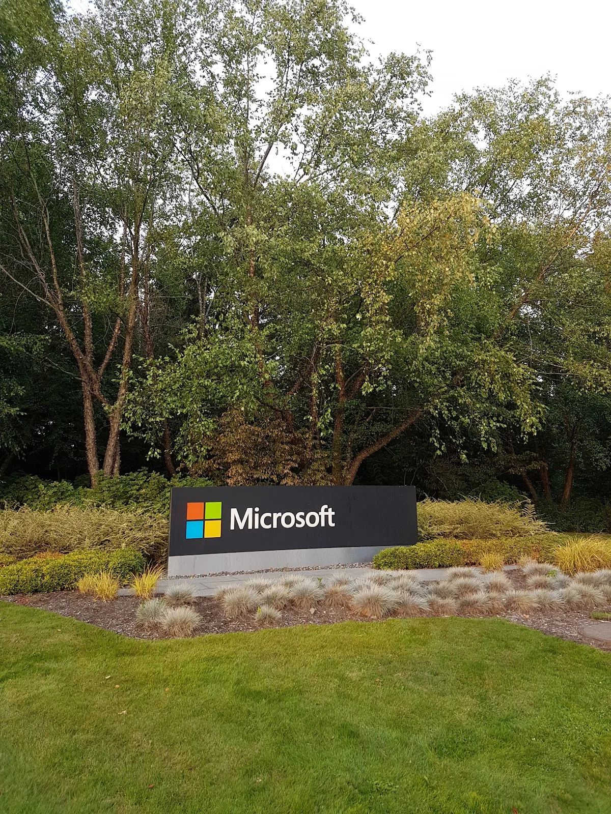 Microsoft Building 40 | What to Know Before You Go