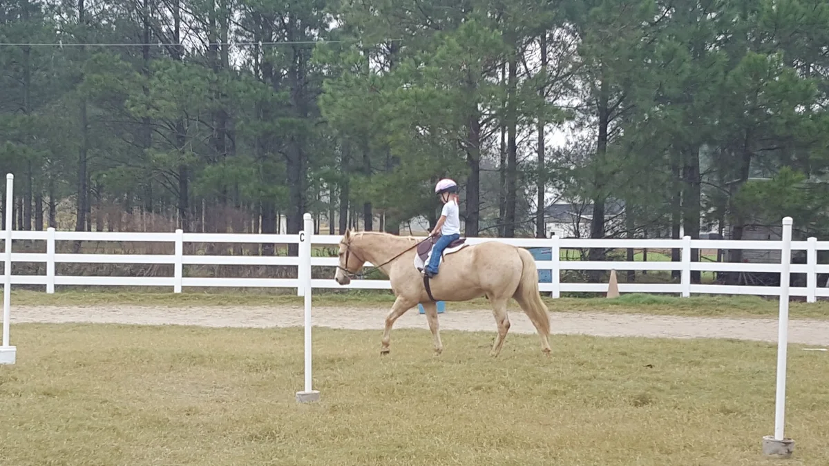 Jacobs Ladder Riding Center in Hahira | Ask Anything